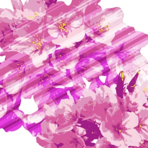 Vivid pink petals overlap with diagonal stripes, blending elegance and dynamic motion in one design.